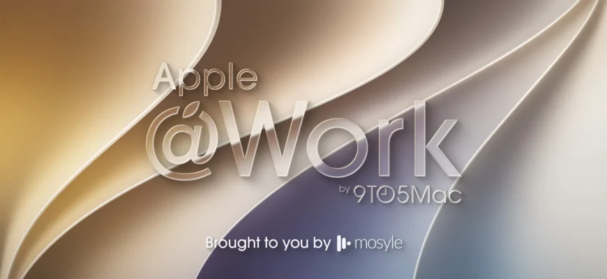 Гид по ролям и правам в Apple Business Manager